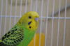 DSC_0032.JPG