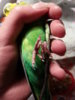 20160910_225833.jpg