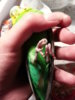 20160910_225843.jpg