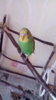IMG_20160910_090420.jpg