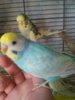 20160903_102731.jpg