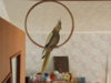 DSCN6067.JPG
