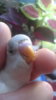 20160913_093031.jpg