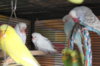 IMG_6592.JPG