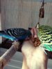IMG_20160913_142514_655.jpg