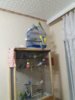 20160915_191100.jpg