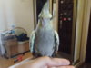 DSCN6115.JPG