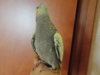 DSCN6108.JPG