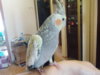 DSCN6116.JPG