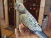 DSCN6117.JPG