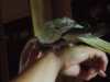 DSCN6120.JPG