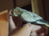 DSCN6121.JPG