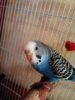 IMG_20160916_211757_459.jpg