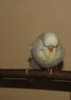 IMG_4412.JPG