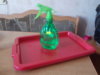 DSCN6098.JPG