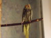 DSCN6123.JPG