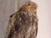 DSCN6130.JPG