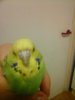 20160918_200442.jpg