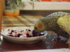 DSCN6136.JPG