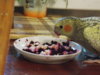 DSCN6155.JPG