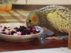 DSCN6170.JPG