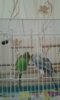 20160615_210757.jpg