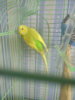 20160920_075024.jpg