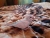 20160920_133738.jpg