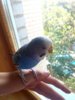 IMG_20160904_115235_182.jpg