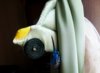 IMG_20160921_141747_161.jpg