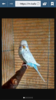 Screenshot_2016-09-21-19-20-21.png