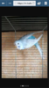 Screenshot_2016-09-21-19-20-16.png