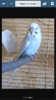 Screenshot_2016-09-21-19-20-09.png