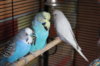 IMG_6676.JPG
