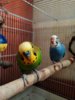 IMG_20160922_202652_594.jpg