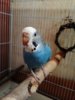IMG_20160922_202605_859.jpg