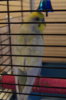 DSC04088.JPG