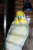 DSC04102.JPG
