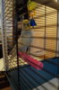 DSC04094.JPG