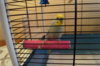 DSC04096.JPG
