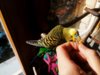 IMG_20160924_174548_736.jpg