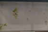 DSC04120.JPG