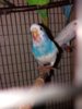 20160924_191939.jpg