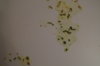 DSC04139.JPG