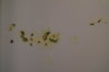 DSC04141.JPG