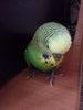 20160927_161600.jpg