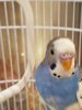 20160904_173249.jpg