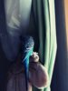 IMG_20160927_141942_576.jpg