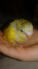 20160927_203422.jpg