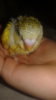 20160927_203417.jpg